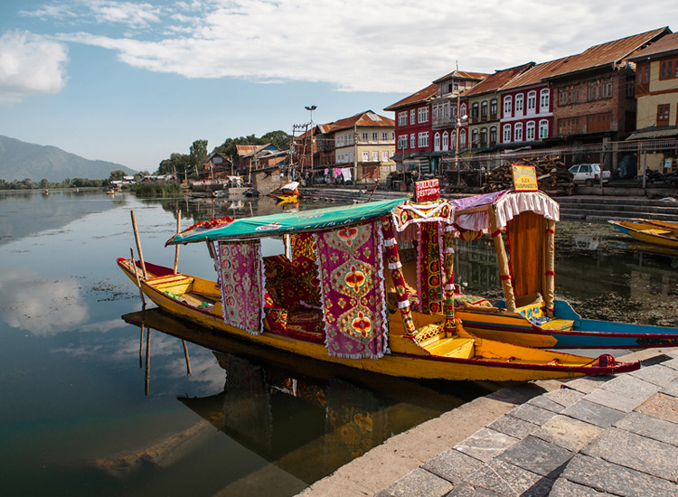 Shikara Boat on the Bank of Dal Lake